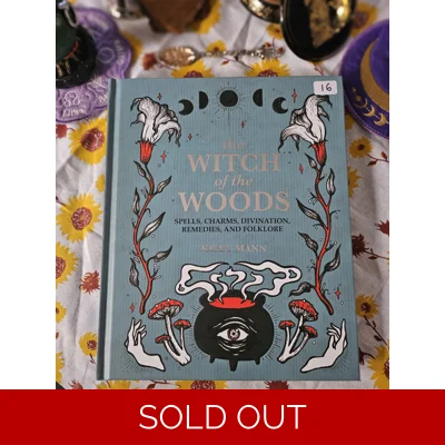 The Witch of the Woods - Kiley Mann